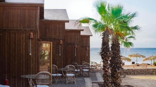 Nuweiba Lodge in Nuweiba