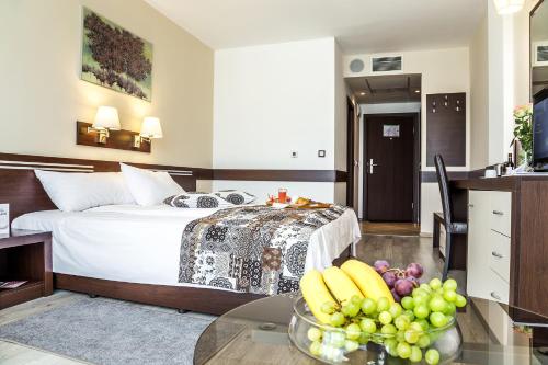 Grami Hotel Sofia - image 9