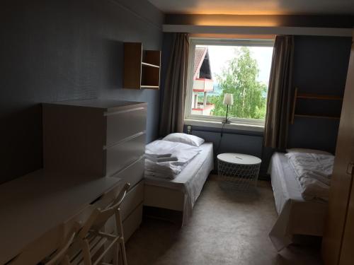 Hedmarktoppen, Hamar (fotografie 2)