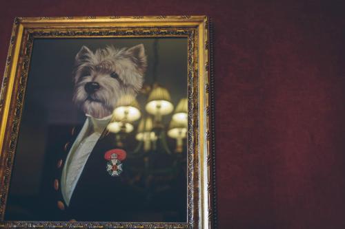 Rowton Castle - image 8