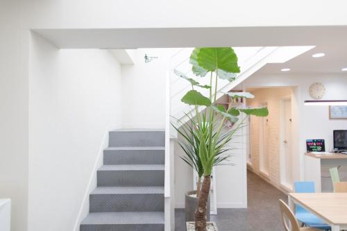 共用Lounge/電視區