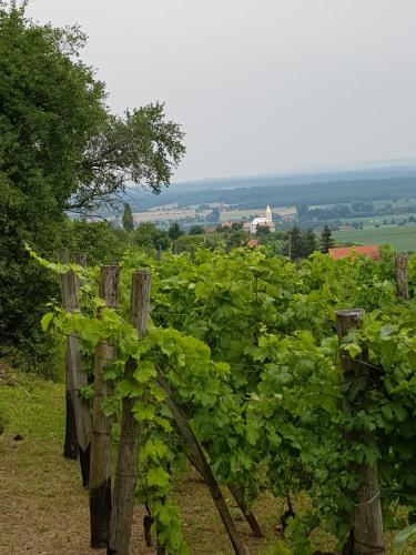  Ferienhaus Feny in Tüskevár