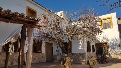 Casa Rural El Almendro