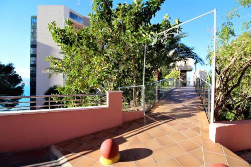 Don Miguel II 17-B - image 6