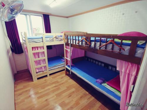 Bunk Bed in Male Dormitory Room 