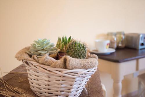 Dolce Sosta - image 6