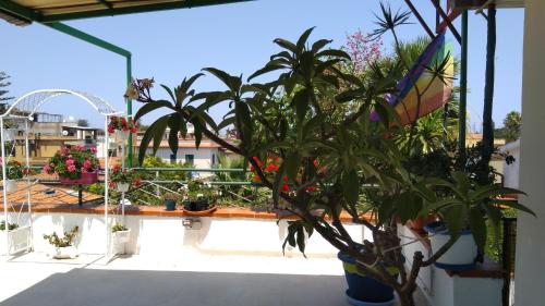 La Casa di Chico - main image