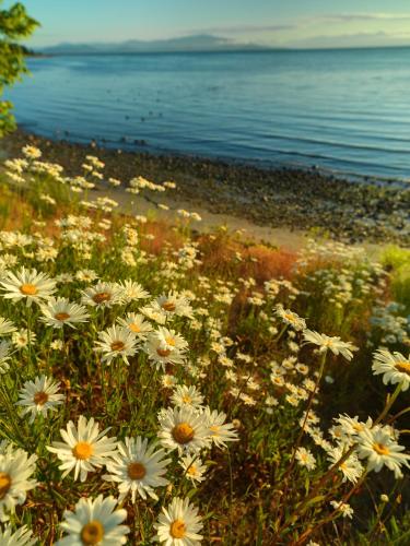 Sunrise Ridge Waterfront Resort in Parksville, Canada