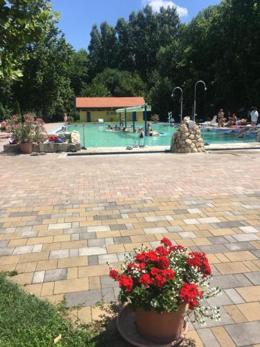 Termal Hotel Mesteri in Mesteri