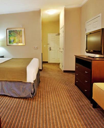Holiday Inn Express Hotel & Suites New Iberia - Avery Island an IHG Hotel - image 4