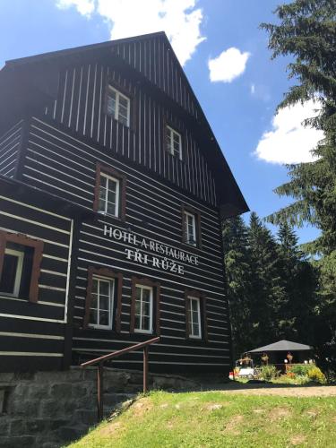 Hotel Tři Růže - image 3