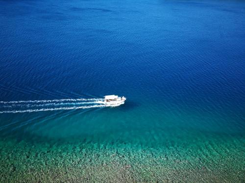  Family Friendly Apartments Island RAB in Kampor