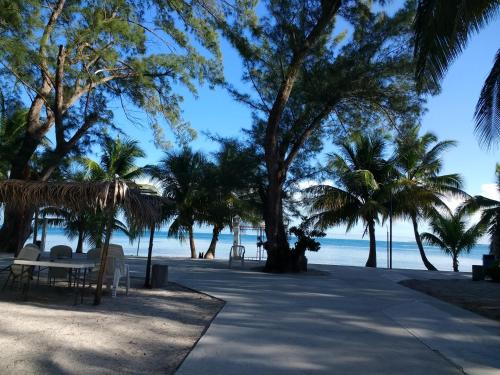 Freedom Shores "La Gringa" Hotel - Universally Designed in Isla Aguada