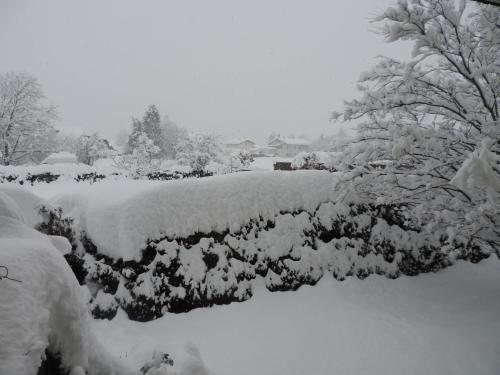 Ferienwohnung Ingrid Anderson in Villach