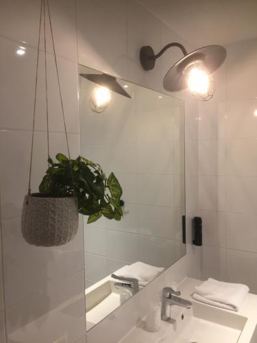 GuestHouse Hotel Kaatsheuvel-Waalwijk Ideally located in the Kaatsheuvel area, GuestHouse Hotel Kaatsheuvel promises a relaxing and wonderful visit. The property offers a wide range of amenities and perks to ensure you have a great time. 