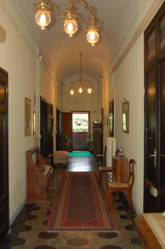 安迪卡奇迹廣場住宿加早餐酒店 B&B Antica Piazza dei Miracoli