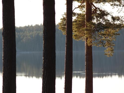 Koskenselän Lomakylä - image 12