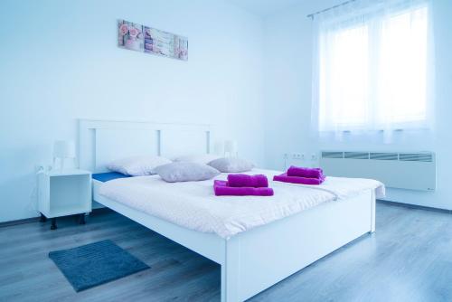 Apartman Višnja - Location saisonnière - Slunj