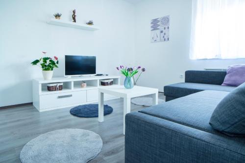 Apartman Višnja