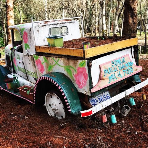 拉斯康迪达牧场农家乐