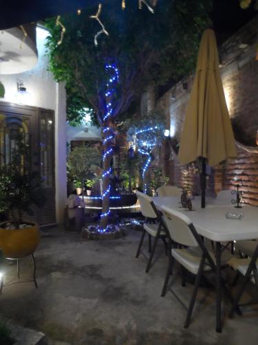 Garden, Hotel Internacional Malitsin in Guanajuato