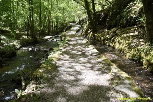B&B Le Saut de la Bergère - image 5