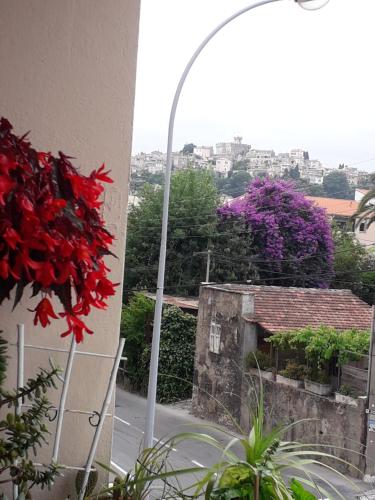 Chambre chez l’habitant chez Nadine - Pension de famille - Cagnes-sur-Mer