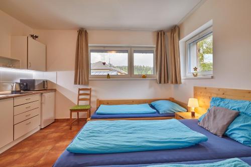 Skipension, Janské Lázně (Foto 9)