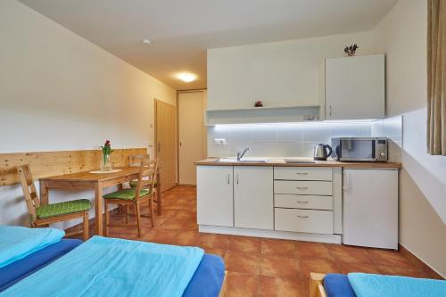 Skipension, Janské Lázně (Foto 8)