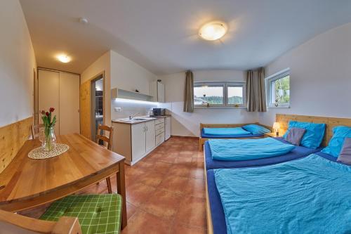 Skipension, Janské Lázně (Foto 7)