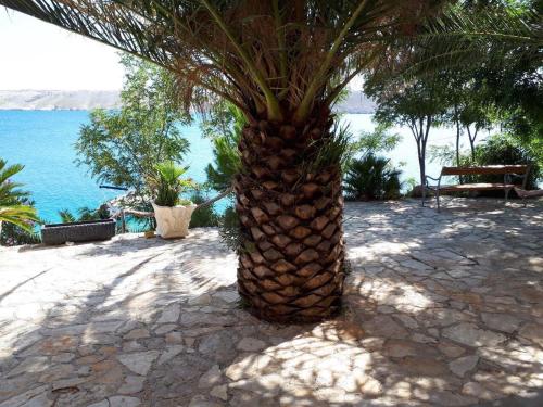 Apartments Horvat on Island Pag