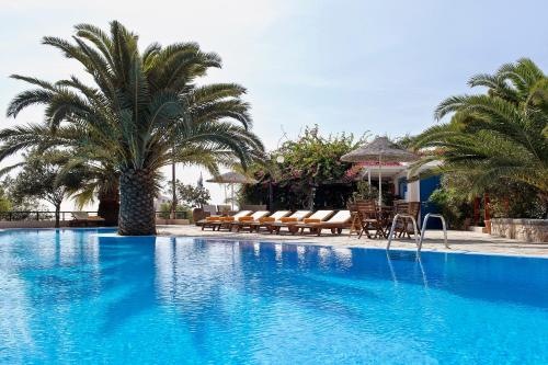 Paradise Resort - image 13