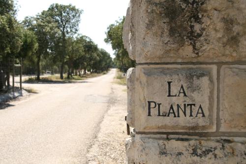 La Casita de la Planta