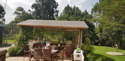 Patogumai, Ngomongo in Nanjukis