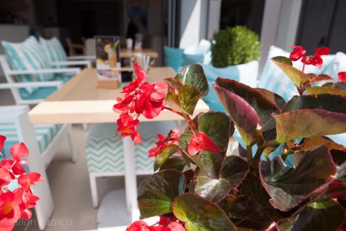 Alarzo Rooms - image 8