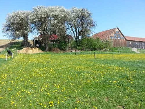 A-Sissy-Hof in Bischofstetten, Österreich