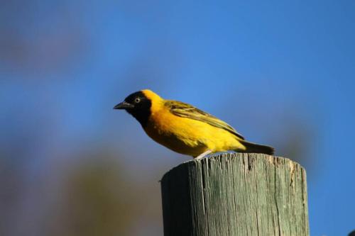 Von Bach Dam Resort Von Bach Dam Resort