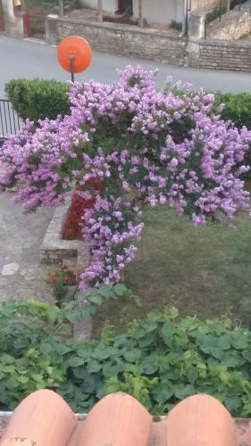  Apartman Mansarda in Medulin