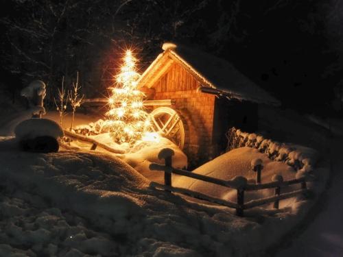 Alpine Cottage Salzburg