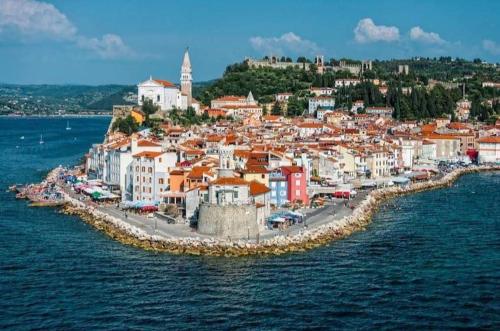 Apartment Istrian view in Smarje Pri Kopru