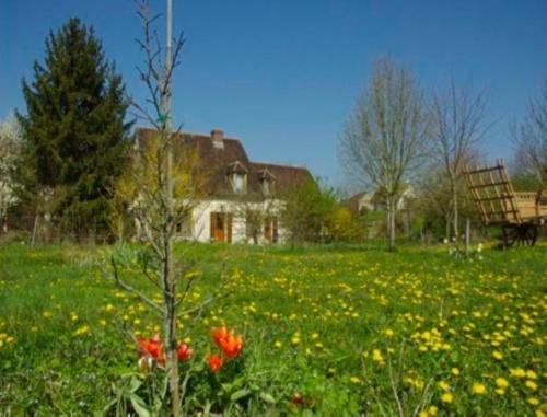 Chambres d'Hôtes Les Pierries