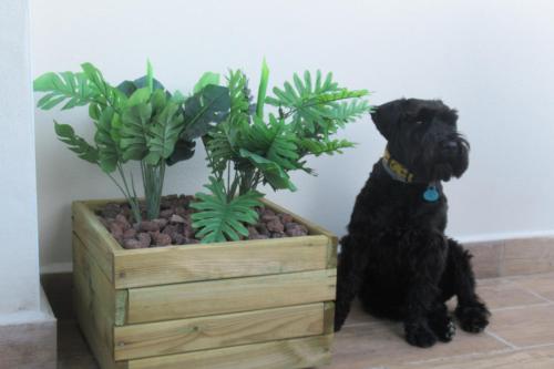 El Huertecito - image 2