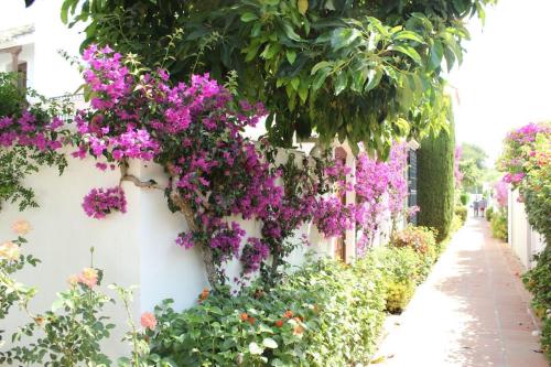 Villacana 2106 - image 3