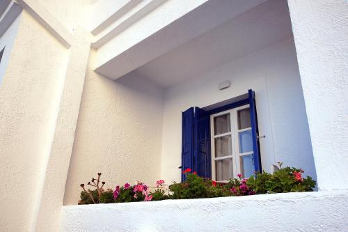La Playa Boutique Apartments - image 4