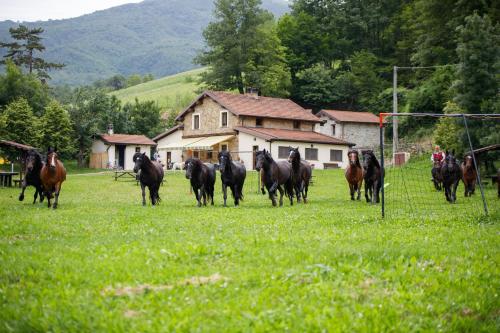  Agriturismo Carovane, Compiano bei Santo Stefano dʼAveto