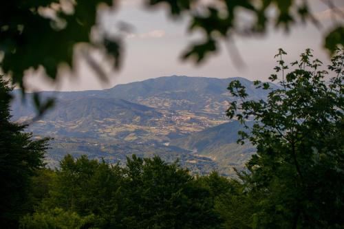 Agriturismo Carovane