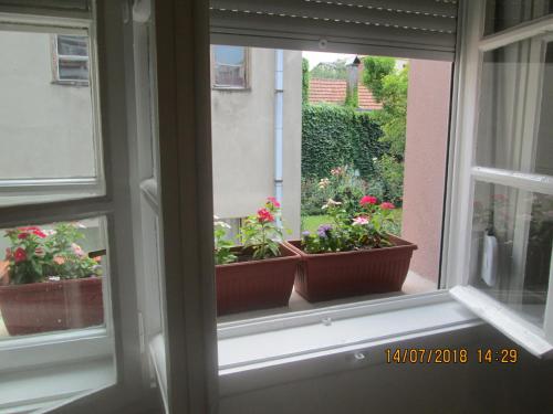 Kuća Popović Apartments - image 7