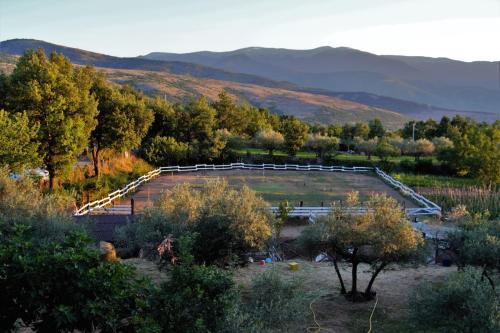  Fattoria La Tana della Volpe in Pacentro