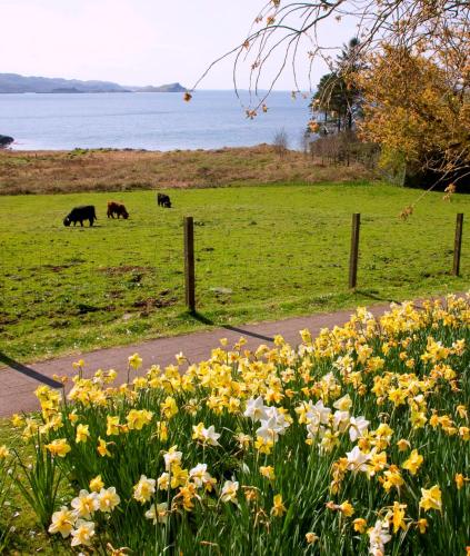 Loch Melfort Hotel