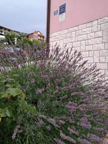 Apartments Villa Šibenik - image 8